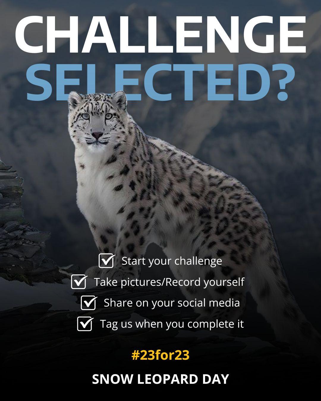 Глобальная кампания #23for23 - Изображение 10