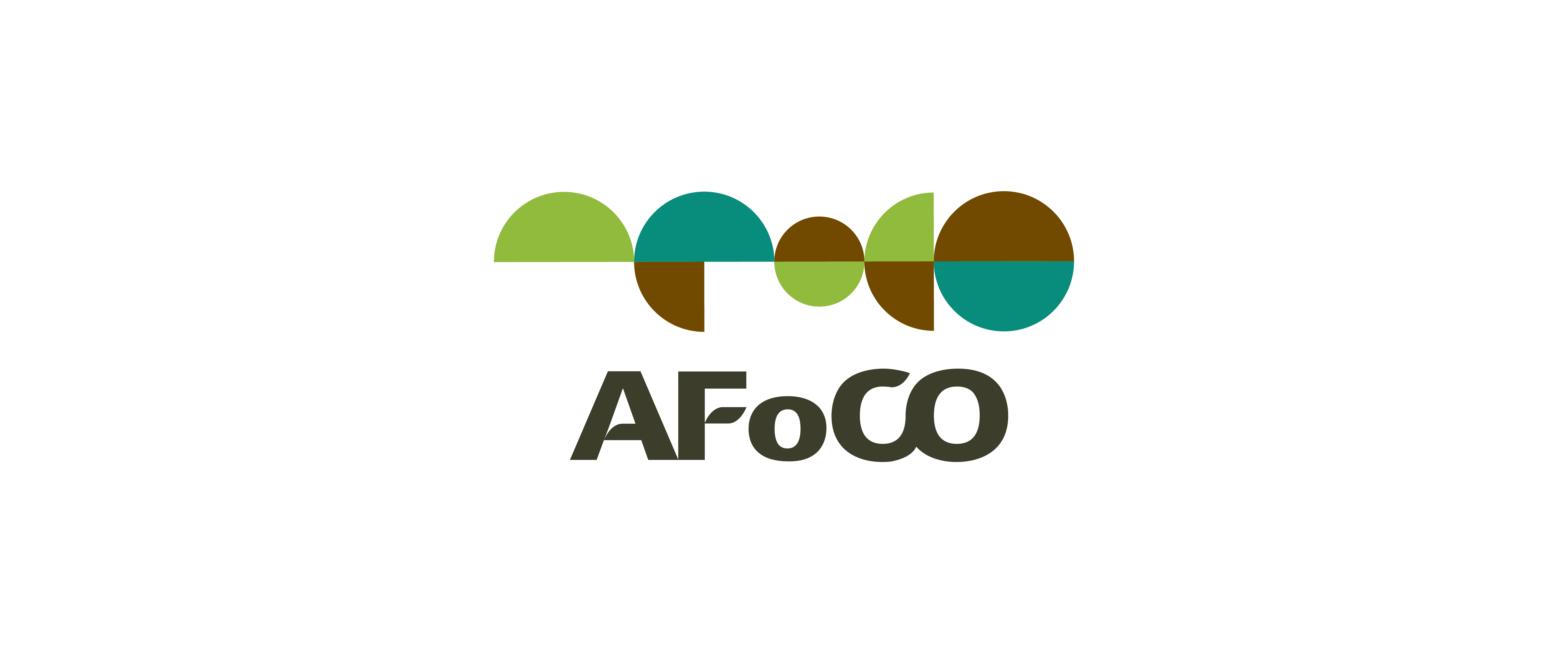 Исполнительный директор Азиатской организации лесного сотрудничества (AFoCO) Logo